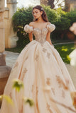 Prinsesse Blush ballkjole Off the Shoulder Tyll Quinceanera kjole med applikasjoner