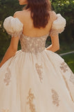 Prinsesse Blush ballkjole Off the Shoulder Tyll Quinceanera kjole med applikasjoner