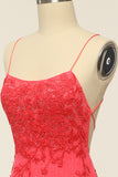 Coral Backless Long Prom Kjole med Appliques