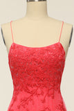 Coral Backless Long Prom Kjole med Appliques