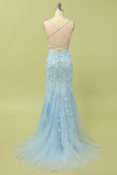 Havfrue Spaghetti stropper Lys rosa Long Prom kjole med Appliques