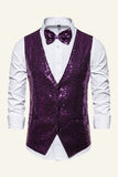 Sparkly Golden Lapel Paljetter herrevest med slips