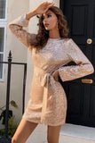 Lange ermer Glitter Cocktail Dress med Hollow-out