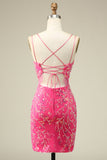 Elegant Corset Back Bodycon Homecoming kjole med dusk