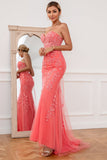 Coral Applique Tulle Ball Kjole