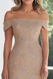 Taupe Lace Applique Slire Off the Shoulder Kjole til brudens mor