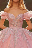 Rosa Off The Shoulder Ball Kjole Appliqued Quinceanera Kjole