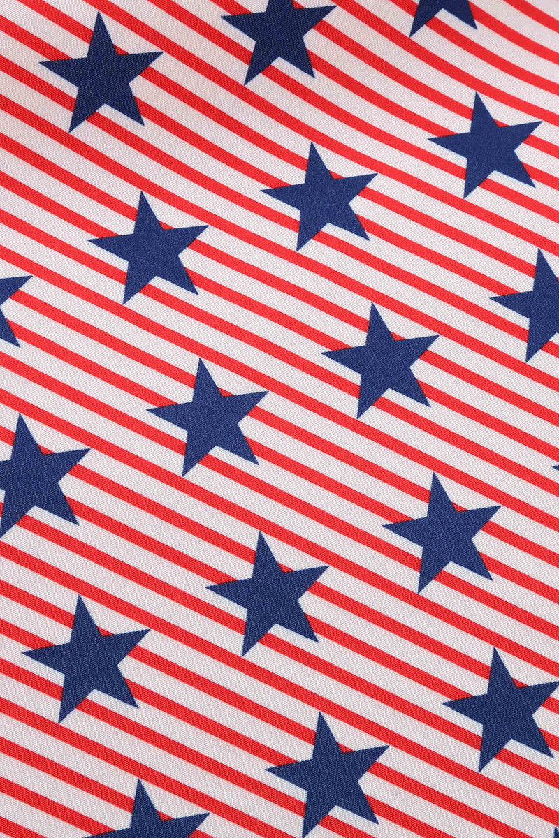 Load image into Gallery viewer, Amerikanske flagg stjerner print vintage kjole