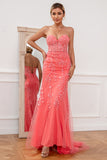 Coral Applique Tulle Ball Kjole