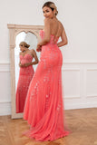 Coral Applique Tulle Ball Kjole