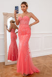 Coral Applique Tulle Ball Kjole